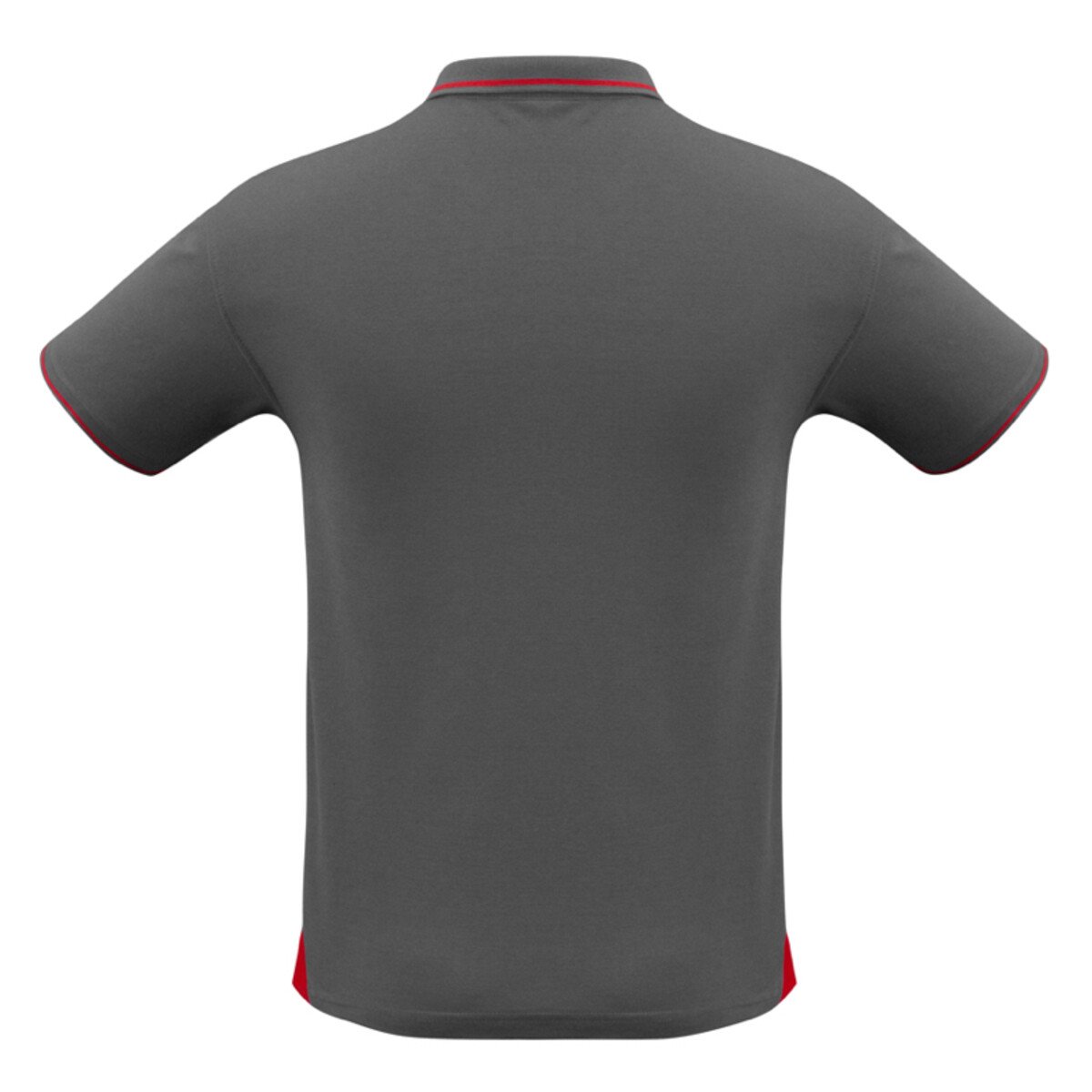 Back view